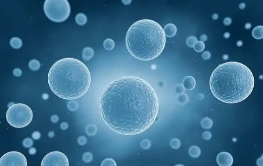 5-Amino-1MQ Transcriptional Regulation | Shaanxi BLOOM Tech Co., Ltd 5-Amino-1MQ Transcriptional Regulation | Shaanxi BLOOM Tech Co., Ltd