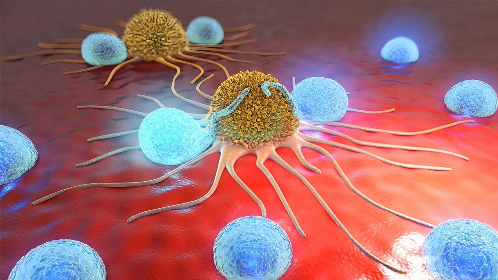 Histrelin Drugs | Shaanxi BLOOM Tech Co., Ltd Histrelin Drugs | Shaanxi BLOOM Tech Co., Ltd