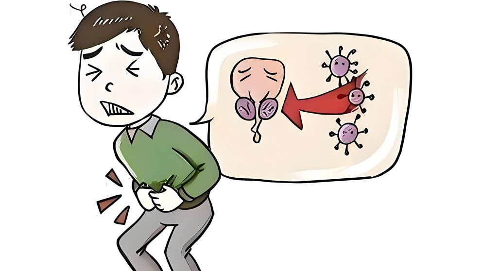 Histrelin Long | Shaanxi BLOOM Tech Co., Ltd Histrelin Long | Shaanxi BLOOM Tech Co., Ltd